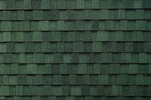 Rustic Evergreen